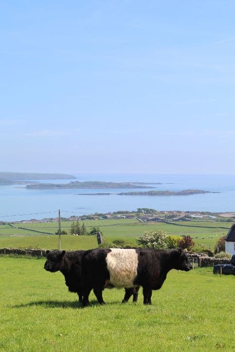 Coastal Retreat with Private Sauna and Spectacular Seaviews in Castle Douglas, Dumfries and Galloway — photo 15