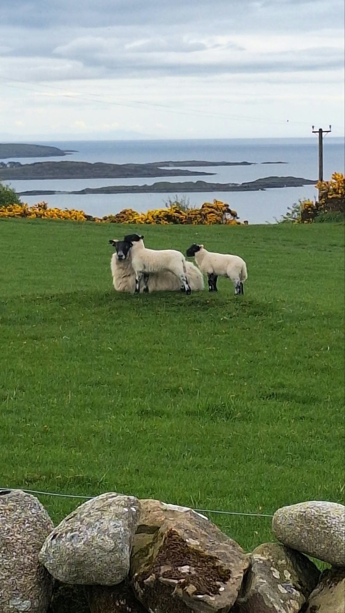 Coastal Retreat with Private Sauna and Spectacular Seaviews in Castle Douglas, Dumfries and Galloway — photo 18