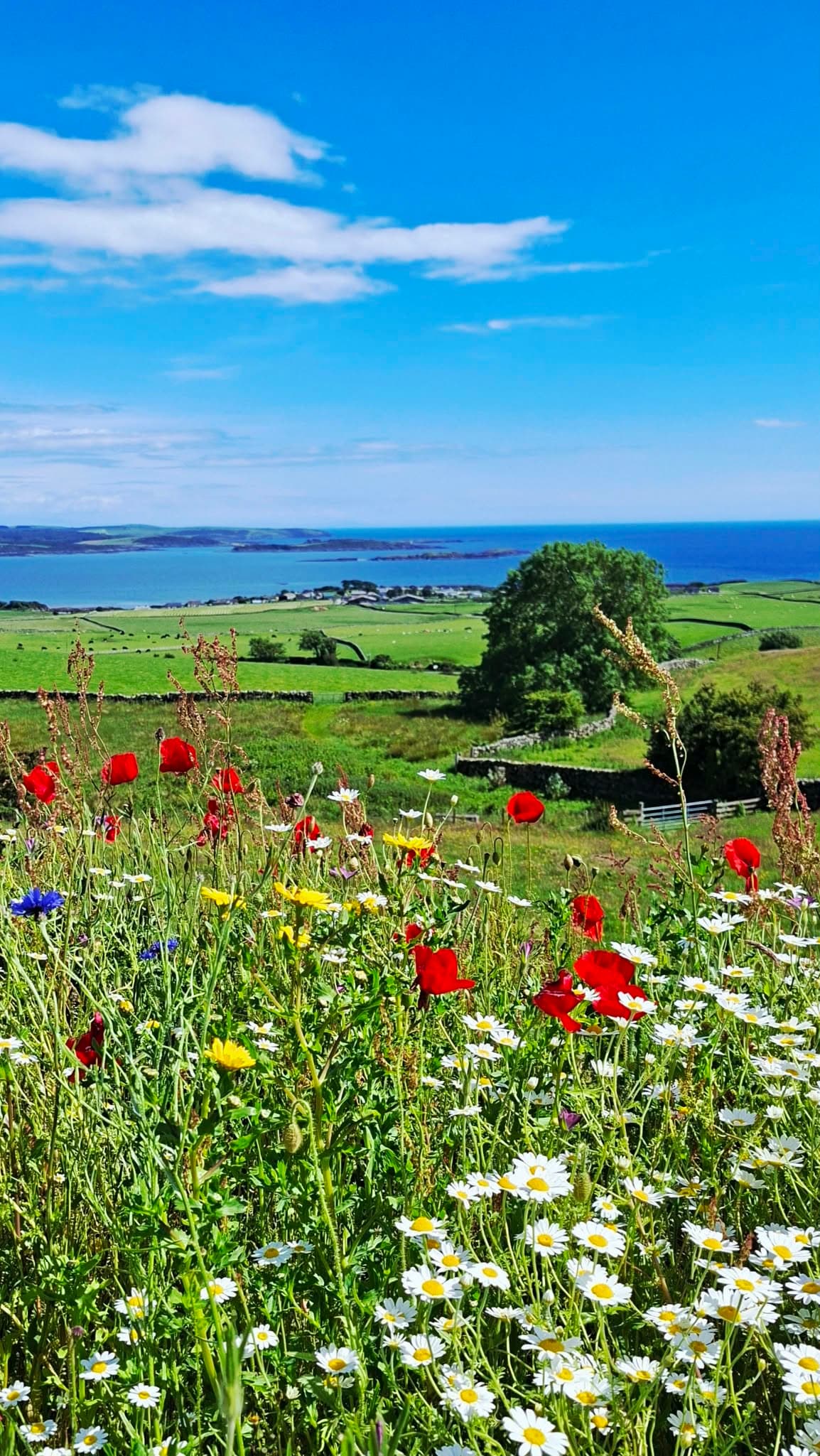 Coastal Retreat with Private Sauna and Spectacular Seaviews in Castle Douglas, Dumfries and Galloway — photo 11